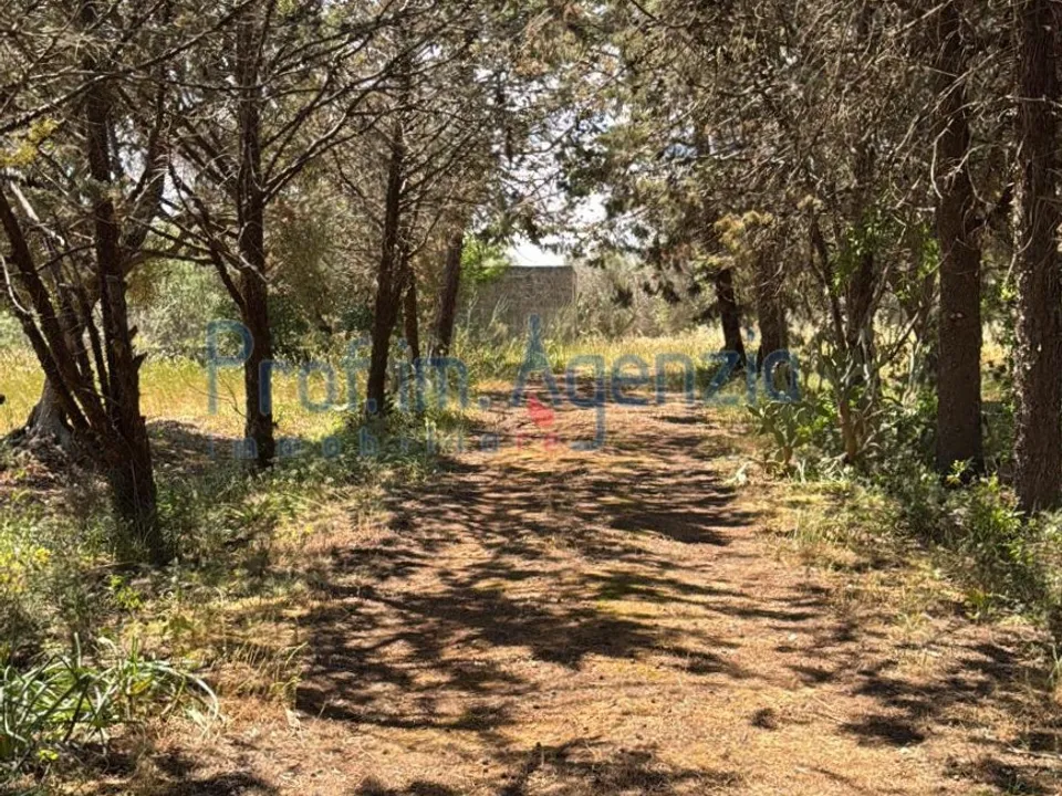 Helårsgrund i San Vito dei Normanni, Brindisi - foto 1